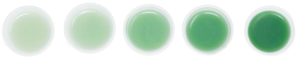 chlorophyll-1