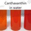 ingreda-canthaxanthin-2