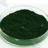 ingreda-chlorophyll-1