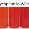 ingreda-lycopene-2