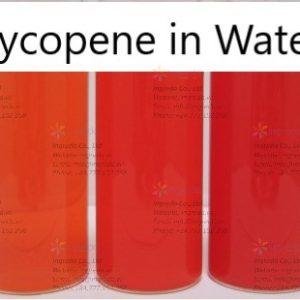 ingreda-lycopene-2