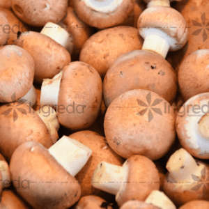 Chiết xuất nấm (Mushroom extract)