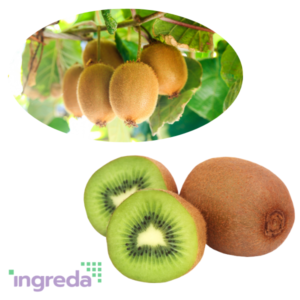 Bột quả kiwi
