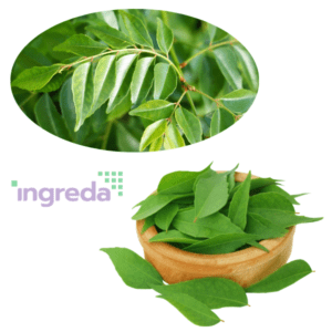 bột lá cà ri