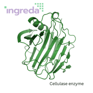 cellulase enzyme