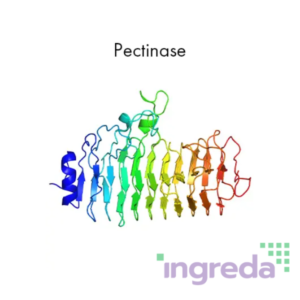 pectinase enzyme
