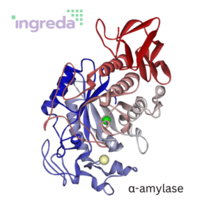 alpha amylase