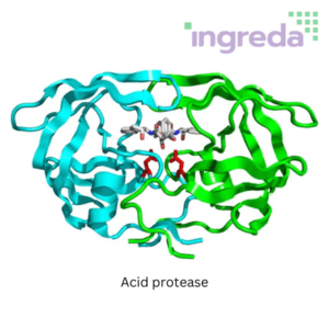 Acid protease