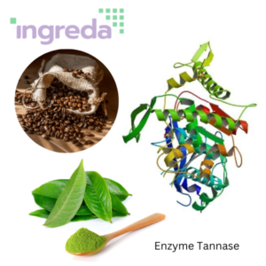enzyme tannase