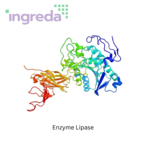 enzyme lipase