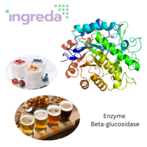 Enzyme Glucosidase