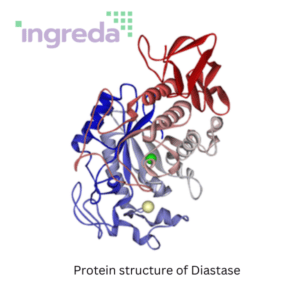 enzyme-diatase