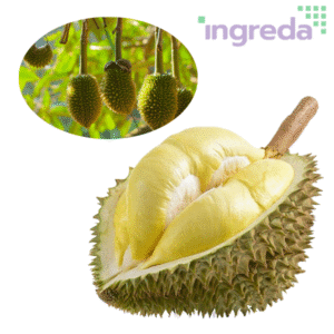 hương sầu riêng